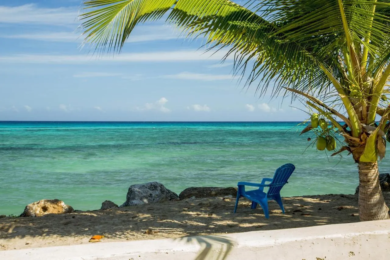 Calypso Villa Jamaica Montego Bay Jamajka